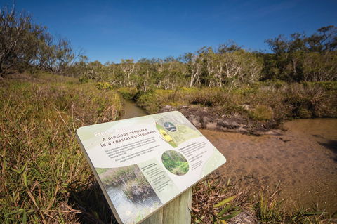 Freshwater Creek Track, Byfield National Park - Find Attractions 1