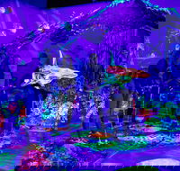 Glowing Rooms 3D Mini Golf - Find Attractions