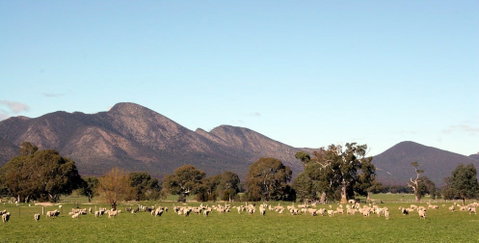 Grampians - Find Attractions 0