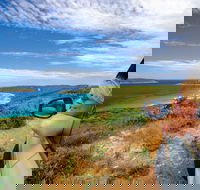 Great Ocean Drive - Find Attractions