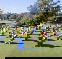 Hello Koalas Sculpture Trail - Find Attractions