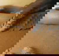 Hermannsburg Potters - Find Attractions