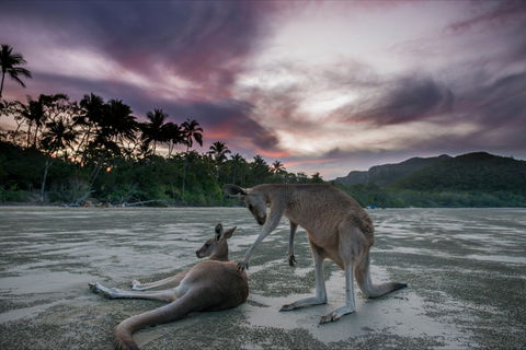 How To Holiday On The Hibiscus Coast With Your Family - Find Attractions 0