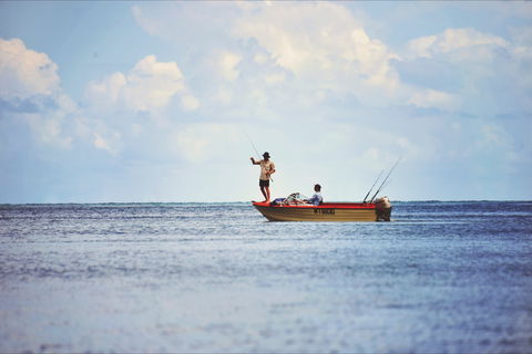 How To Holiday On The Hibiscus Coast With Your Family - Find Attractions 1