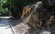 Hughes Avenue, Darwin - thumb 1