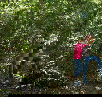Iluka Rainforest Walking Track - Find Attractions