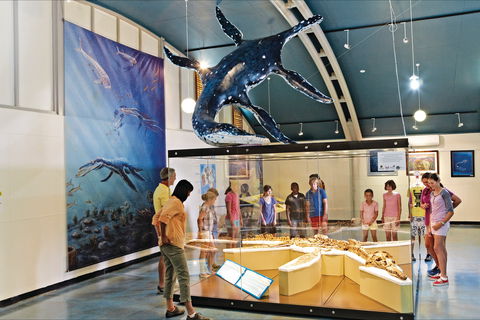 Kronosaurus Korner - Find Attractions 2