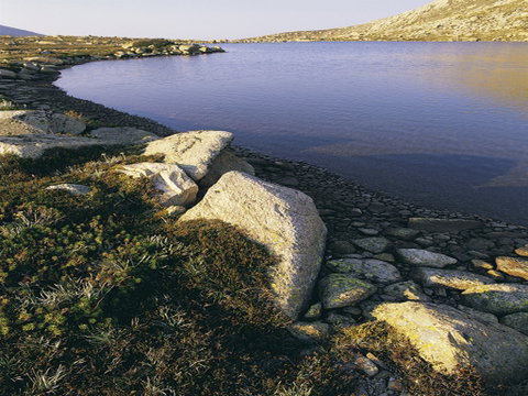 Lake Cootapatamba - Find Attractions 0