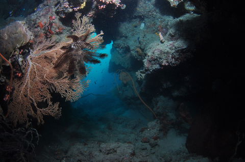 Luncheon Bay Dive Site - Find Attractions 2