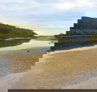 Mangrove Walk - Find Attractions