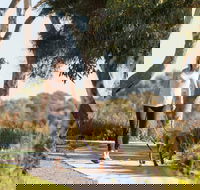 Meningie Walking and Cycling Trails - Find Attractions