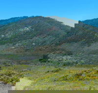 Monument Hill Walking Track - Find Attractions