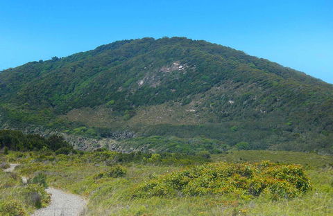 Monument Hill Walking Track - Find Attractions 0