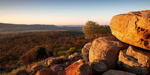 Mount Brown Lookout - Find Attractions 0