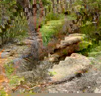 Mount Olive Trail - Find Attractions