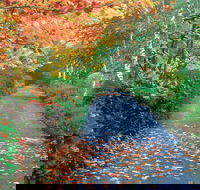 Mount Wilson and Mount Irvine - Find Attractions