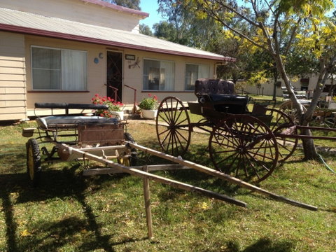 Mr And Mrs Behan Sulky Display - Find Attractions 0