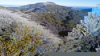 Mt Buller Bike Park