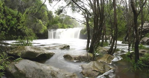 Nellies Glen Carrington Falls - Find Attractions 0