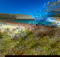North Durras Beach - Find Attractions