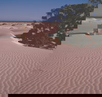 Nullarbor Plain - Find Attractions