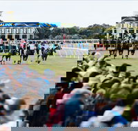 Oakbank - Find Attractions