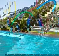 Oaklands War Memorial Swimming Pool - Find Attractions