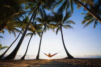 Palm Cove