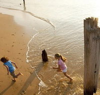 Phillip Island - Find Attractions