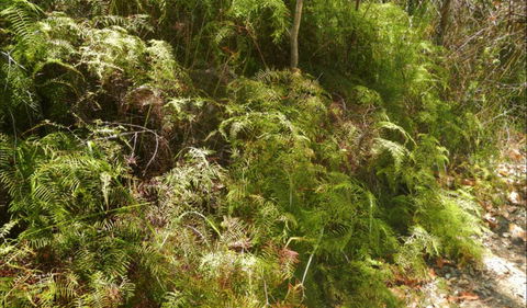 Powder Magazine Walking Track - Find Attractions 0