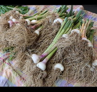Queanbeyan Park Market - Find Attractions