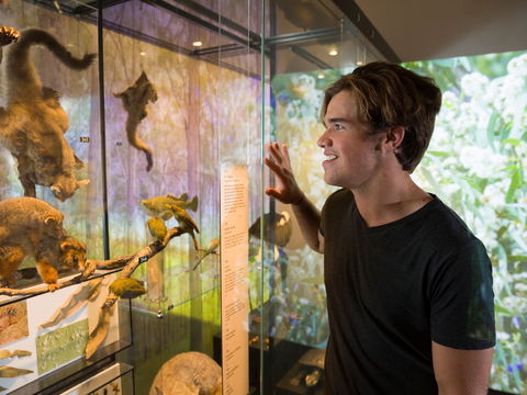 Queensland Museum - Find Attractions 0