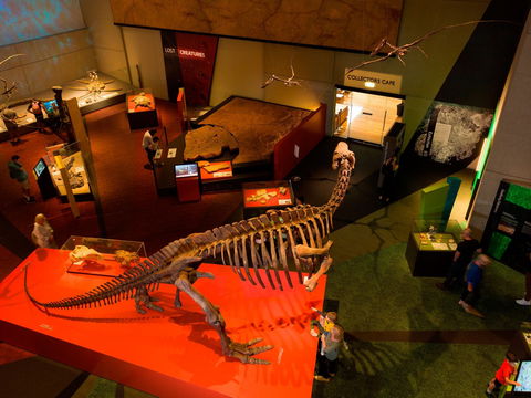 Queensland Museum - Find Attractions 2