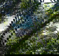 Rainforest Walking Track Hat Head National Park - Find Attractions