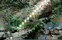 Book Comboyne Accommodation Vacations Find Attractions Find Attractions