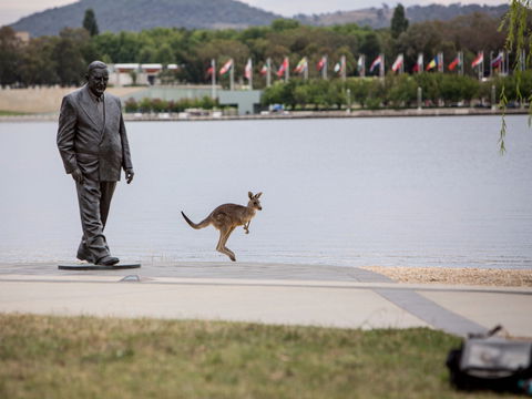 R G Menzies Walk - Find Attractions 1