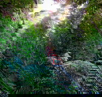 Scenic World Blue Mountains - Find Attractions