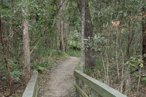 Springwood Conservation Park - Find Attractions 0