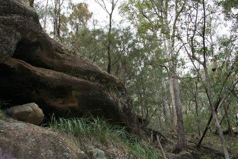Springwood Conservation Park - Find Attractions 2
