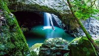 Springbrook