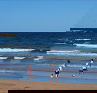 Surf Beach Batemans Bay - Find Attractions