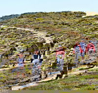 The Sole Walk at Hillocks Drive - Find Attractions