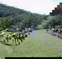 Timbertops - Horse Riding - Find Attractions