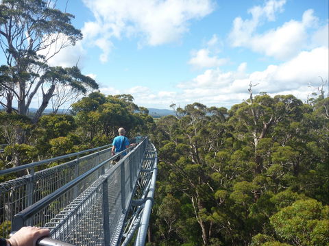 Walpole-Nornalup National Park - Find Attractions 0