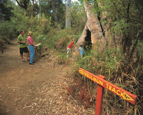 Walpole-Nornalup National Park - Find Attractions 1