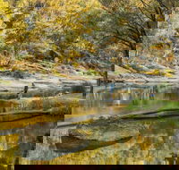 Warrabah National Park - Find Attractions