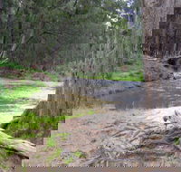 Bangadilly National Park - Find Attractions