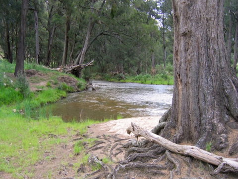 Bangadilly National Park - Find Attractions 0