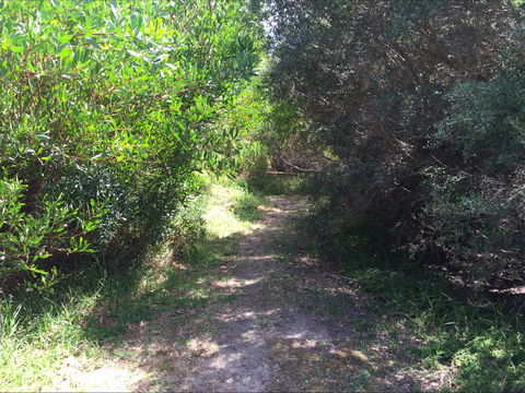 Bluff Track Fitness Trail - Find Attractions 2