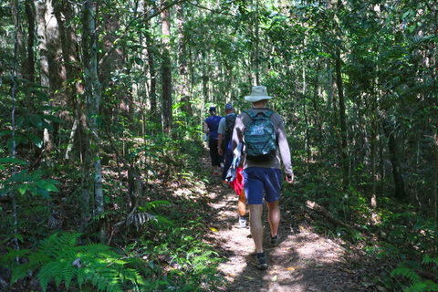 Booloumba Falls Walk, Conondale National Park - Find Attractions 1
